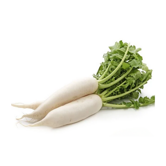 Daikon Radish Lb